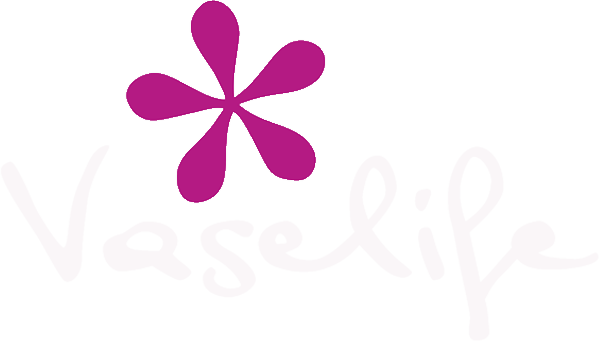 Vaselife