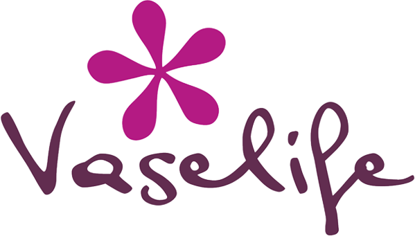 Vaselife